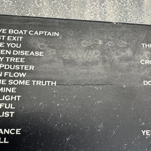 Pearl Jam - Live at the Garden (DVD, 2003, 2-Disc Set) - Picture 12 of 14